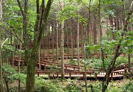 국립자연휴양림