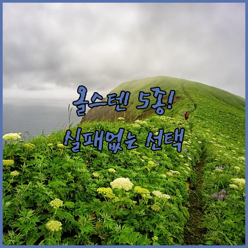 올스텐 에어프라이어 인기 모델 5종 ..