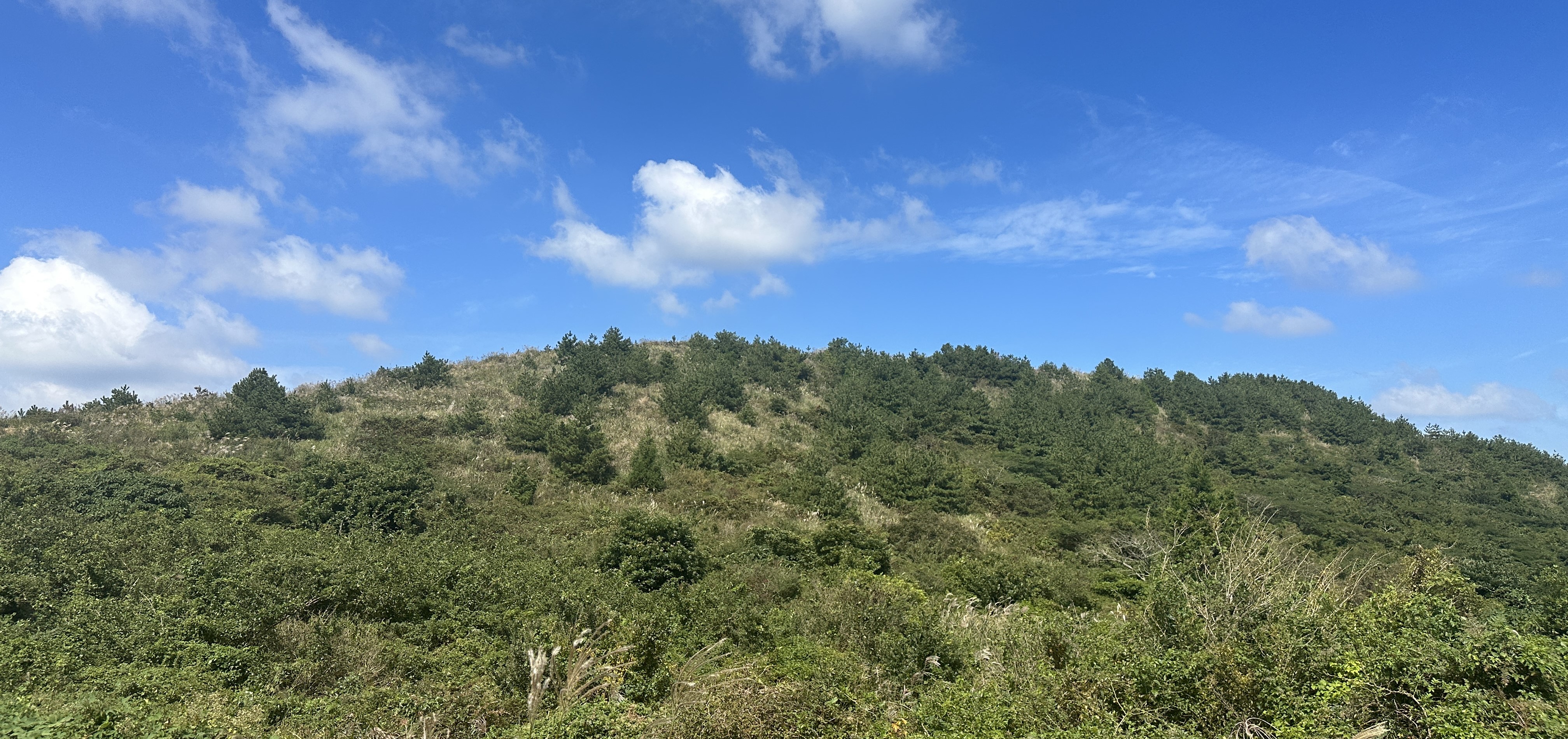 안돌오름 탐방로