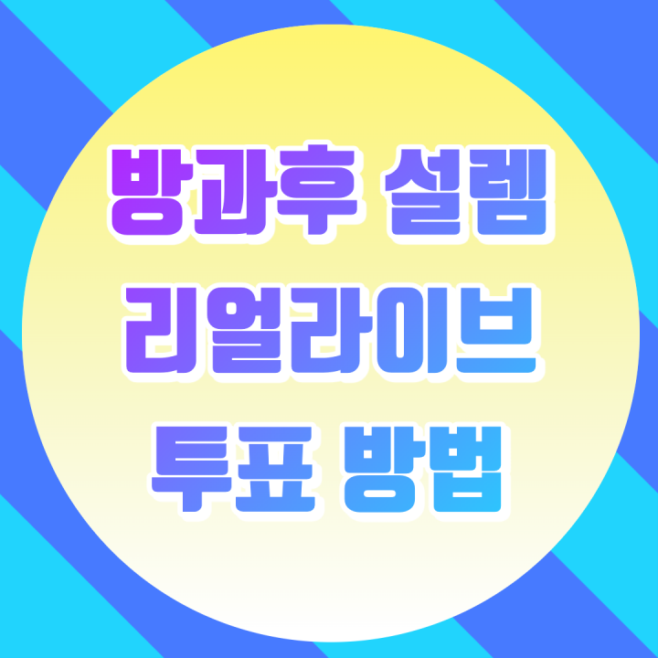 방과후설렘 투표방법