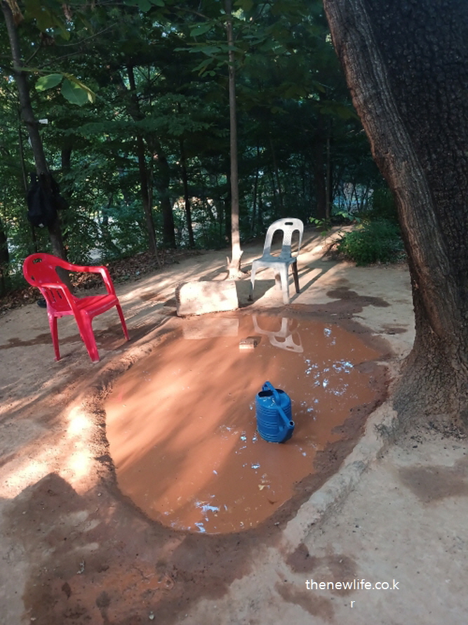 숲속 진흙 웅덩이와 플라스틱 의자가 있는 흙 족욕 공간, 서울 어린이대공원에서 먼지 관리를 위해 조성한 서울 맨발 걷기 좋은 곳 휴식 장소