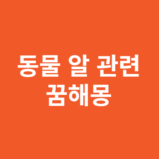 계란꿈해몽 동물알꿈해몽 알을품고있는꿈 알부화하는꿈 새알 물고기알 꿈해몽 관련