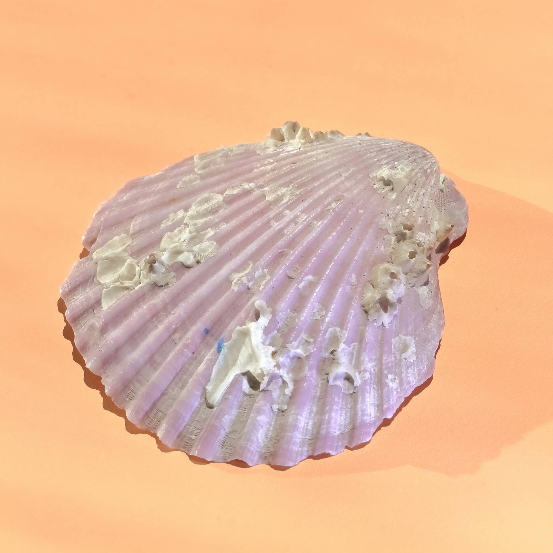 조용한 취미 자개 공예 입문 ― 칼&middot;자개판&middot;본드 선택부터 기본 컷팅까지 완전 가이드