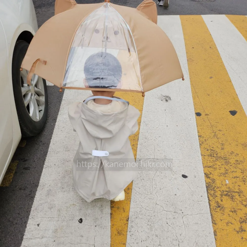 아가드-우산후기