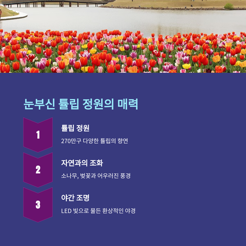 2025 태안 세계 튤립 꽃 박람회 매력