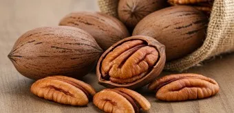 피칸 효능 부작용_4