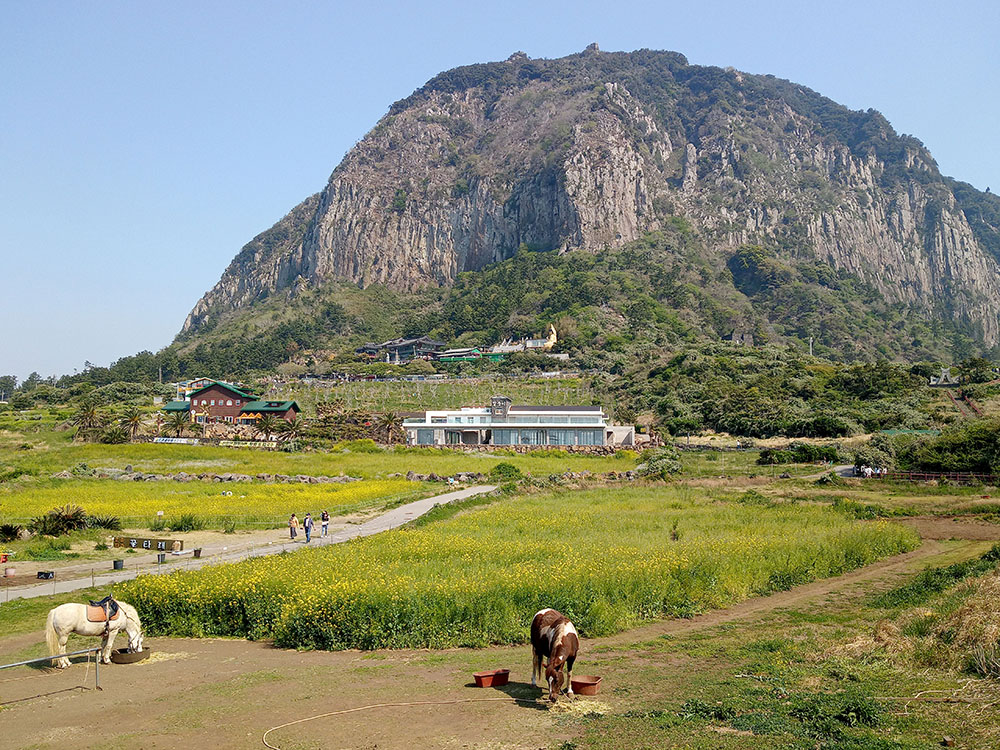 올레10코스: 산방산