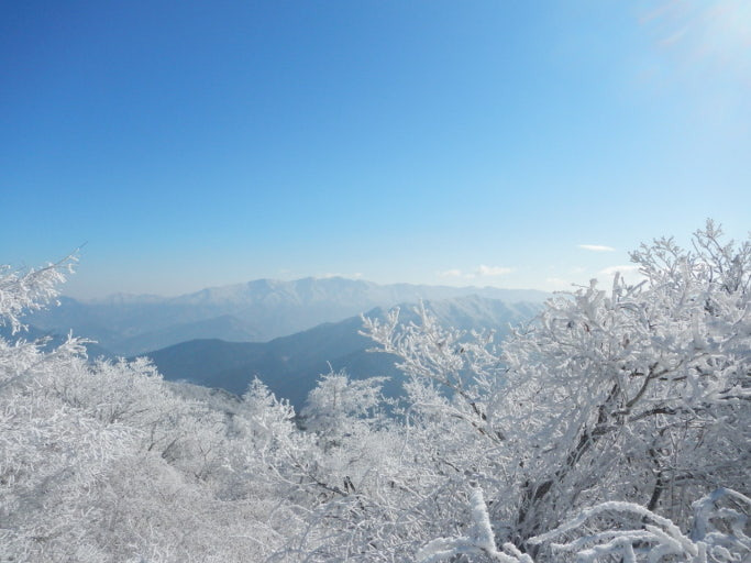 지리산 설경 미디어아트 겨울 감성 남원 바래봉 눈꽃축제 겨울 여행