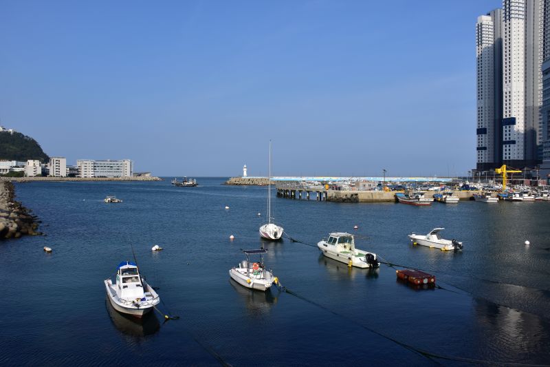 동삼동 패총 전시관에서 바라본 하리항