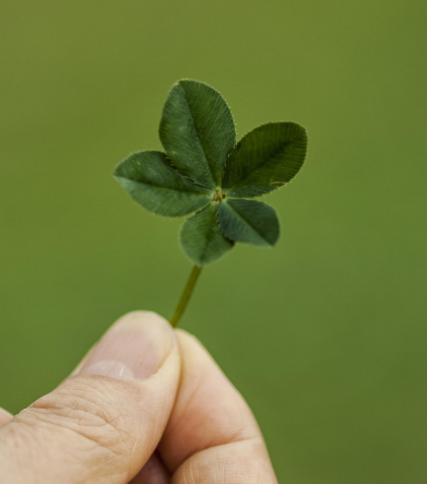 2025년 5월 23일 띠별 오늘의 운세