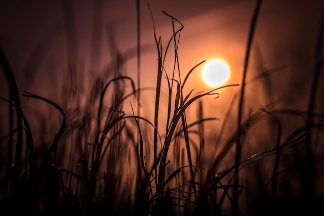 태백산 눈꽃 산행 일출 준비물 완벽 정리