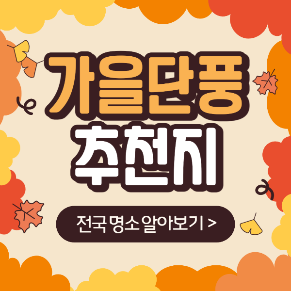 무등산 등산코스, 국립공원 지도, CCTV, 편백자연휴양림, 생태탐방원, 도원야영장 정보 (전라도 단풍 명소 추천)