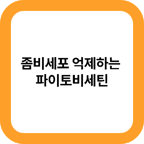 파이토비세틴 대표사진