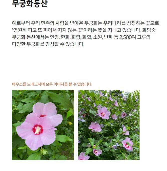 무궁화동산