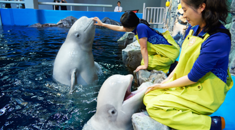 여수 아쿠아플라넷