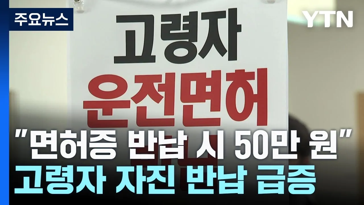 운전면허 반납 혜택 교통비 지원 대체교통 안전 이동법_5