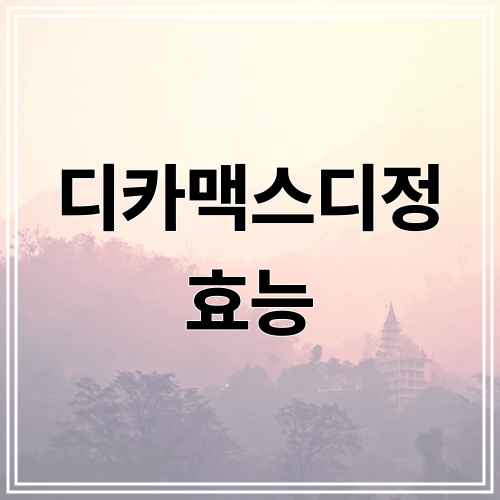 디카맥스디정 효능