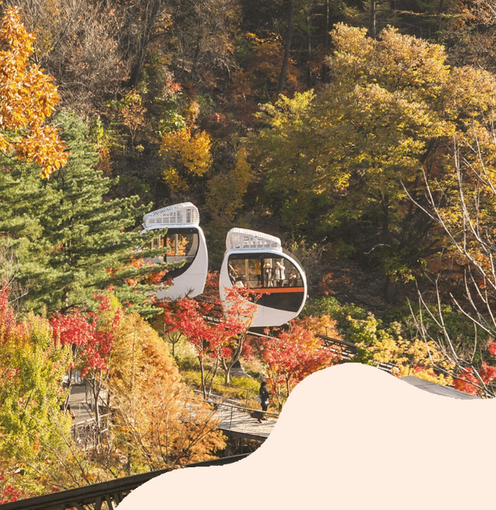 화담숲 단풍 시기