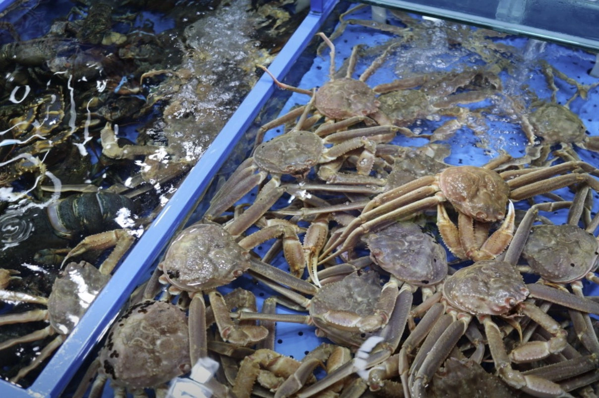 tvN 핸썸가이즈 22회 - 잠실 킹크랩 가락시장 맛집 위치 정보