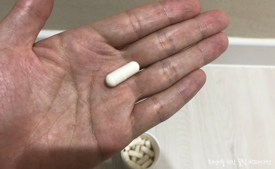 드시모네 DeSimone 캡슐 유산균 한 알