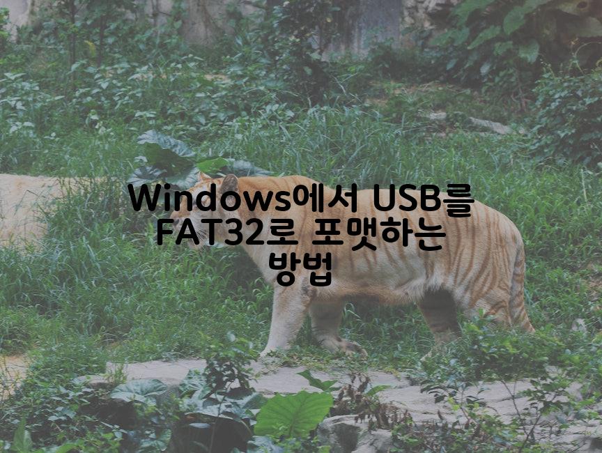 Windows에서 USB를 FAT32로 포맷하는 방법