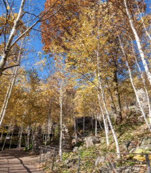 2025 화담숲 단풍축제 예약 완벽 가이드 | 절정시기·꿀팁 총정리