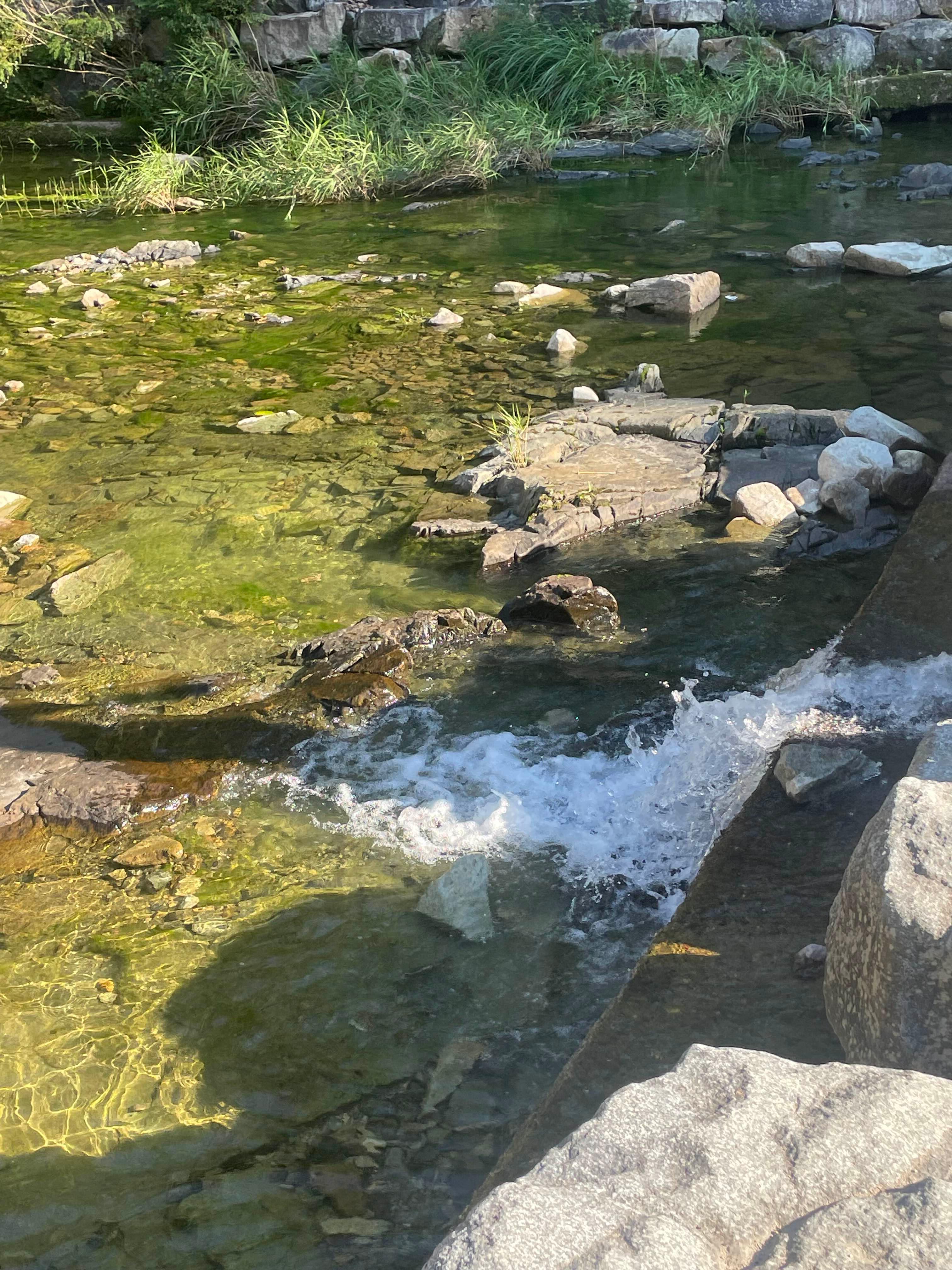 경북 청송 얼음골 계곡