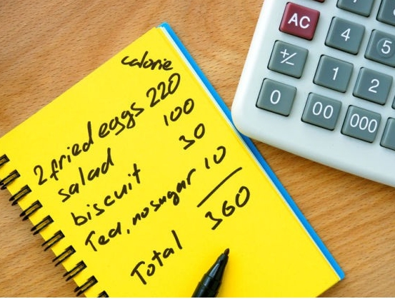 하루 권장 칼로리