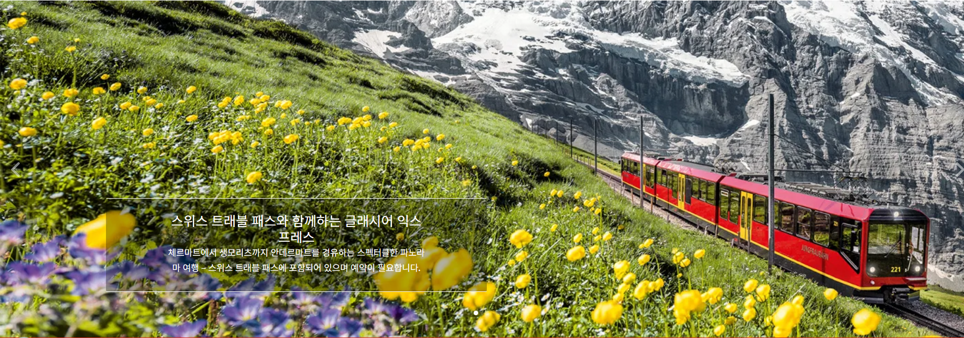 [출처]스위스 트래블 패스 홈페이지 이미지