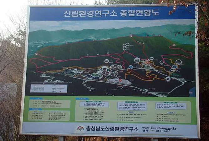 금강자연휴양림