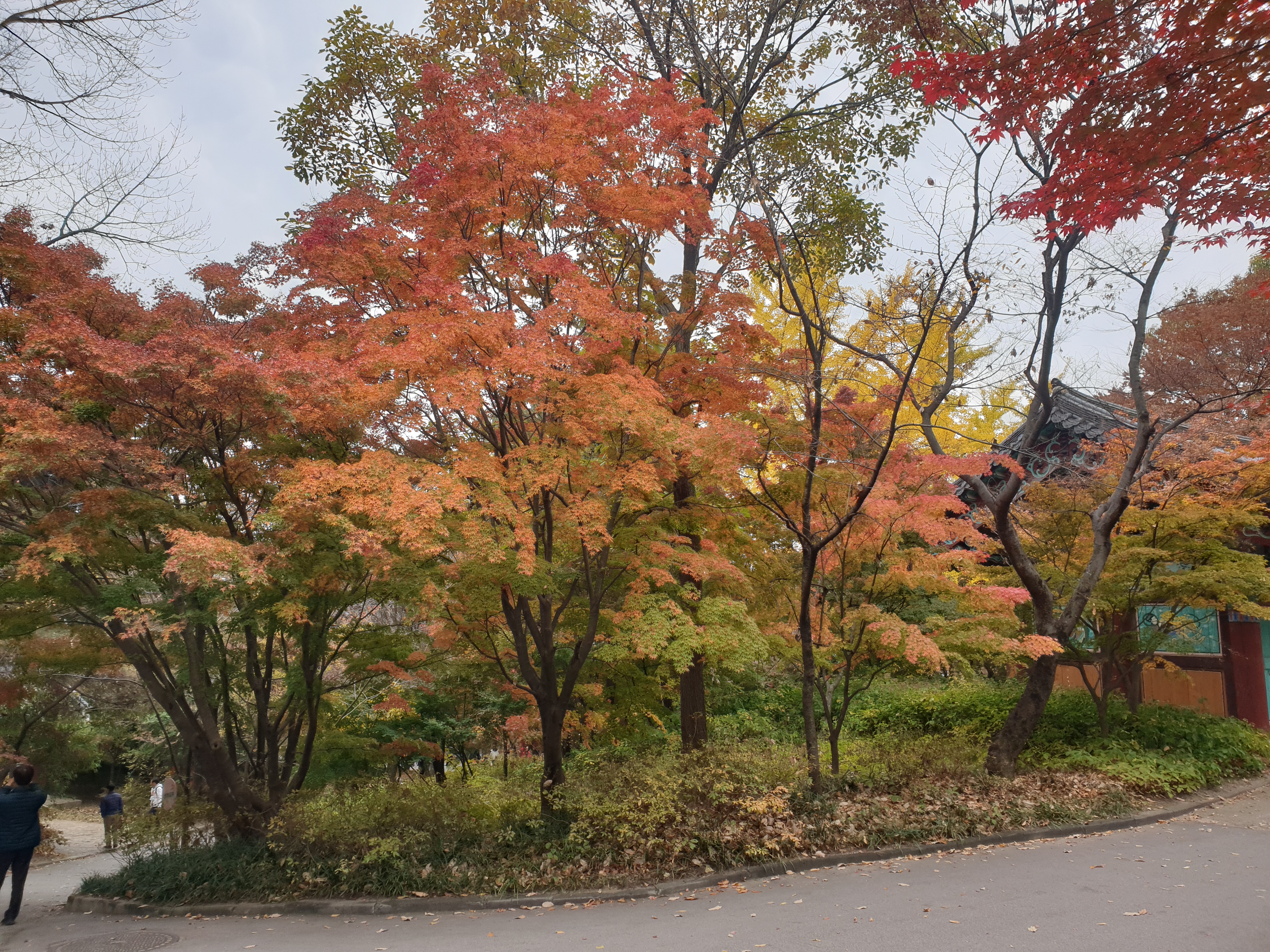 예산 수덕사 역사 자연 경관 활동 및 주변 관광지 안내