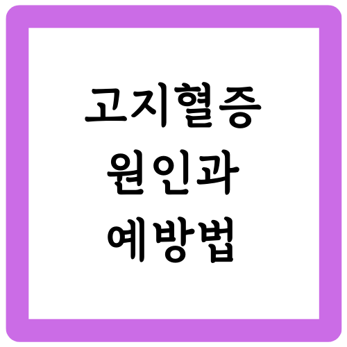 고지혈증