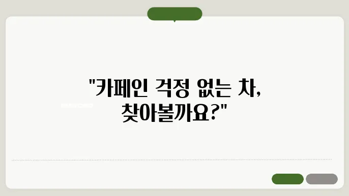 카페인 없는 차 종류 알아볼게요! 디카페인 차 총정리!