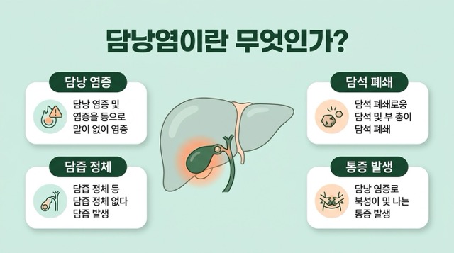 담낭염이란 담낭 염증 담석 담즙 흐름 문제