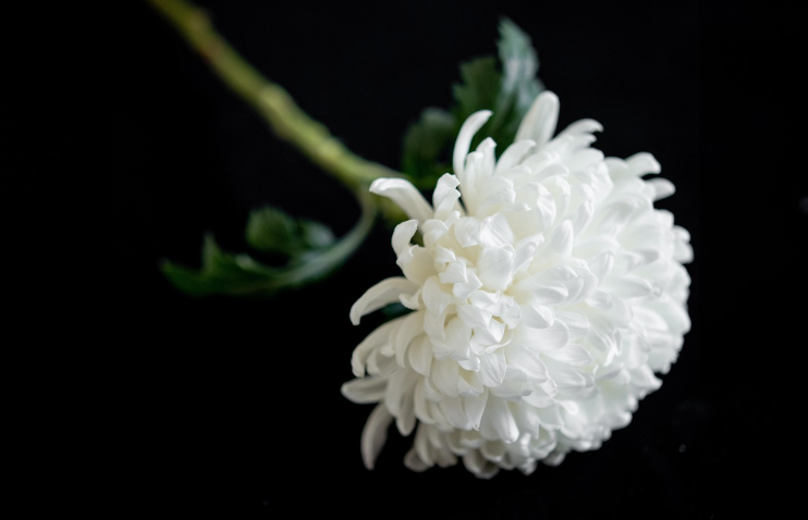 부의금 봉투 쓰는 법