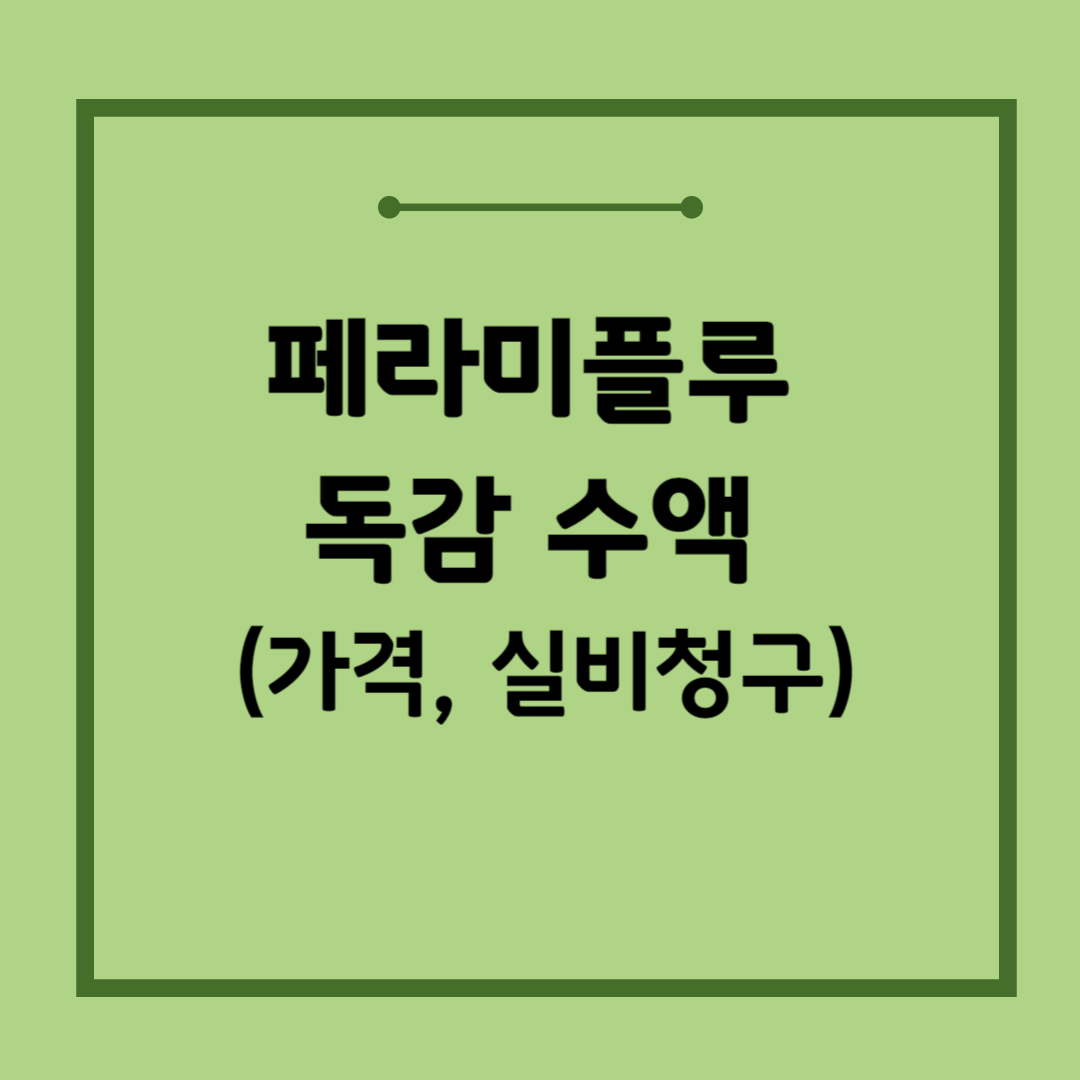 독감-실비