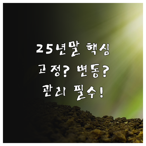 2025년 말 주담대 고정금리 변동금..