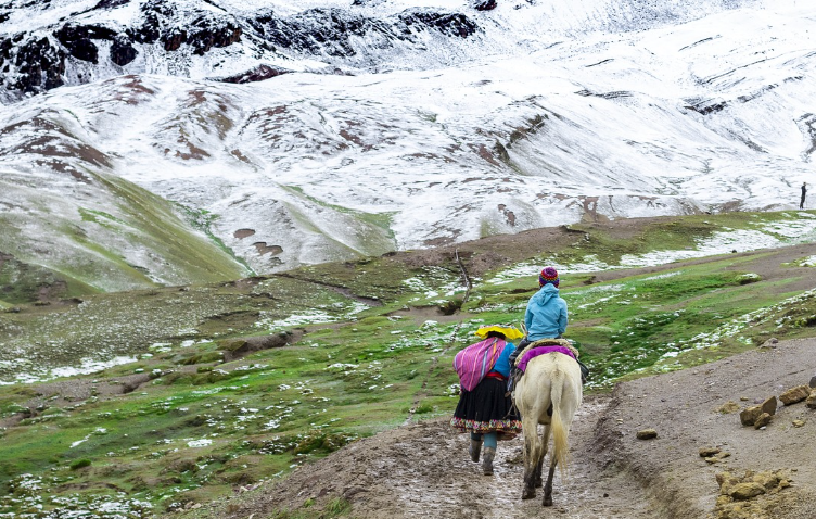 글로벌 비건 푸드 여행: 페루 🇵🇪