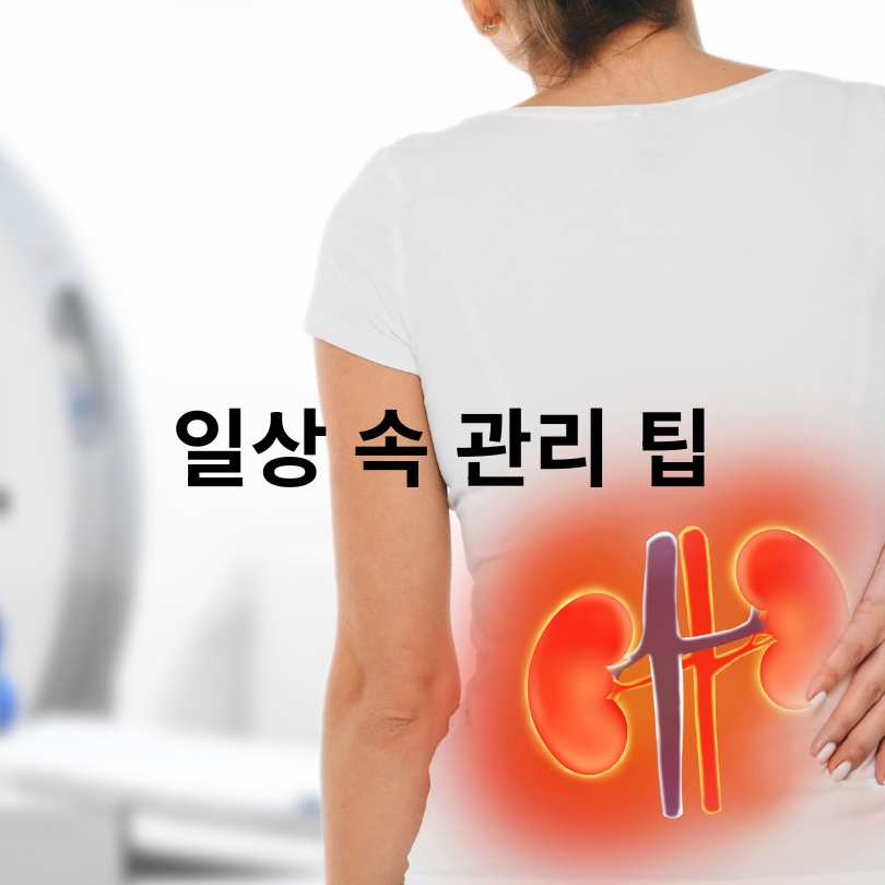 다낭성 신장질환 증상과 다낭성 신장질환 좋은 음식