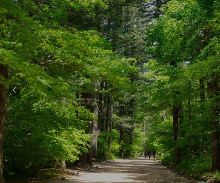 평창 가볼만 한 곳 (1박 2일 여행 코스)