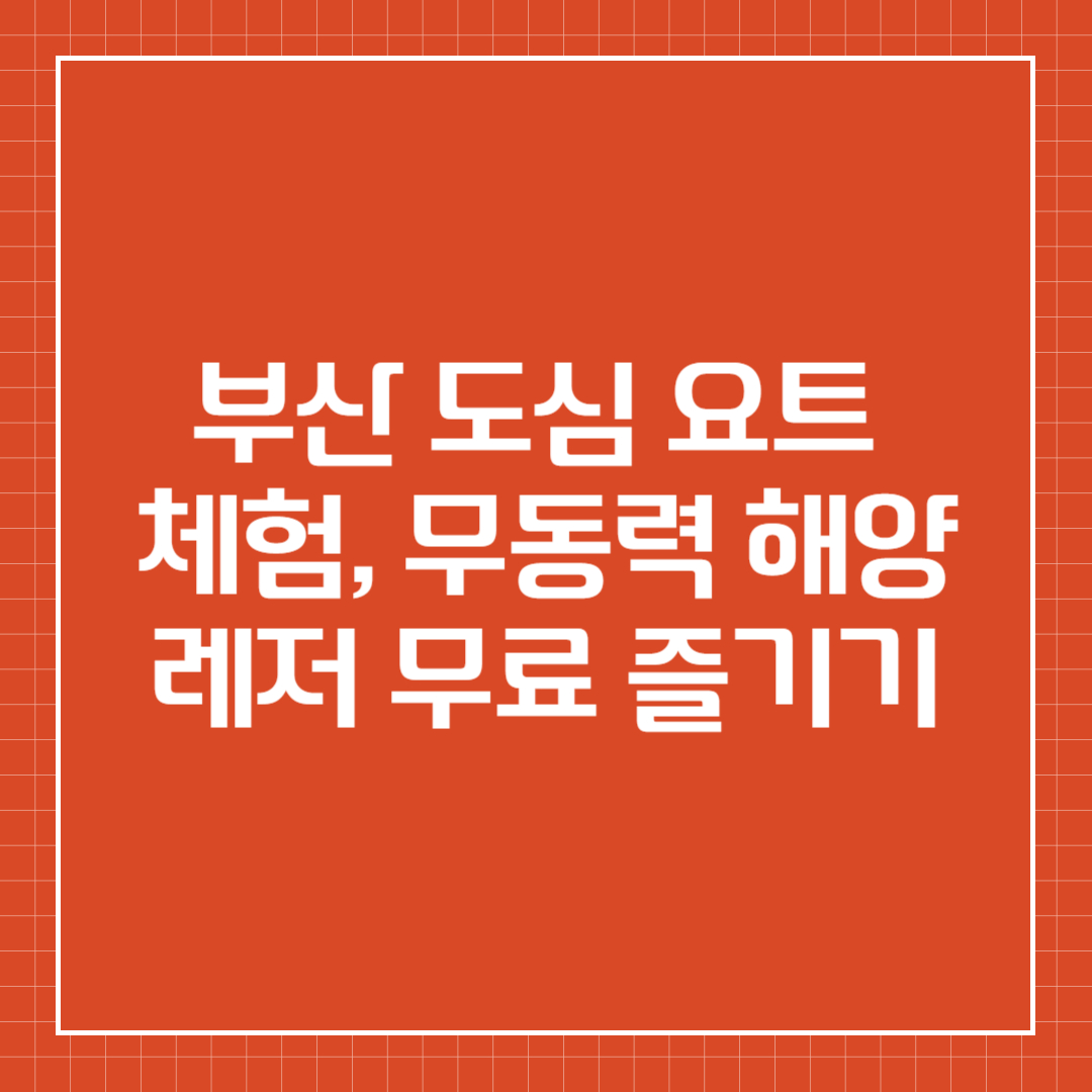 부산 도심 요트 체험, 무동력 해양레저 무료 즐기기