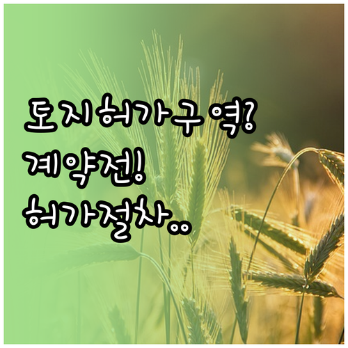 토지거래허가구역 계약 전 확인사항 3..