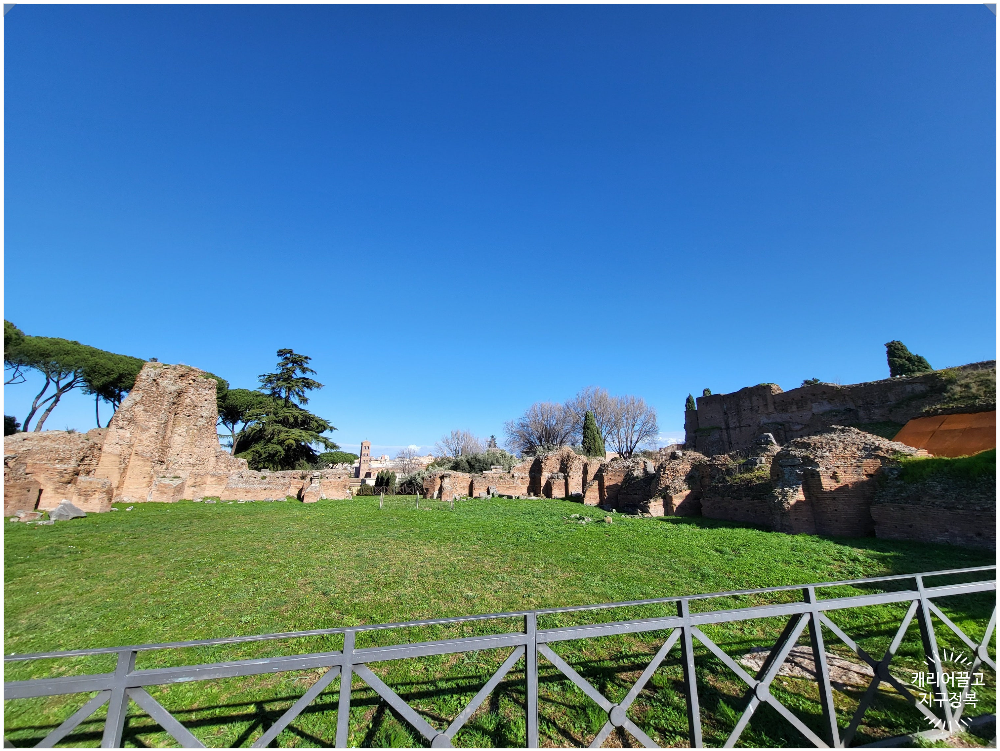 팔라티노 언덕에 가다.