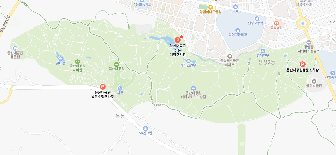 울산대공원 주차장