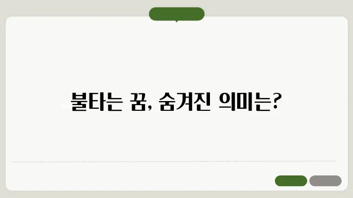 불타는 꿈의 연구