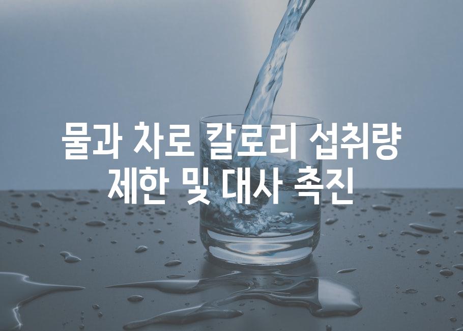 물과 차로 칼로리 섭취량 제한 및 대사 촉진