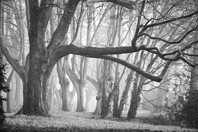 한국일보 간부 사망
