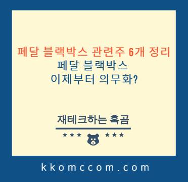 페달 블랙박스 관련주 포스팅 썸네일