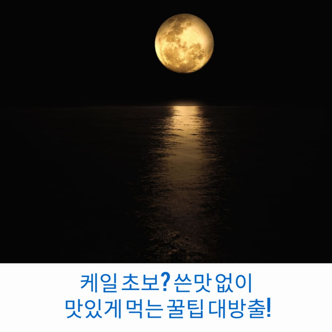케일-초보-쓴맛-없이-맛있게-먹는-꿀팁-대방출-썸네일