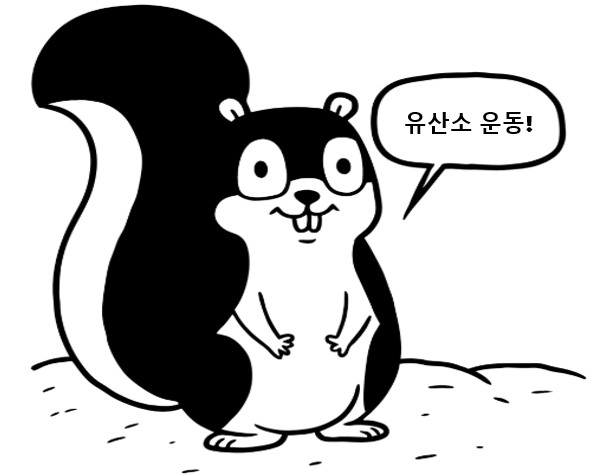 직장인을 위한 유산소 운동의 중요성을 알려주는 다람쥐